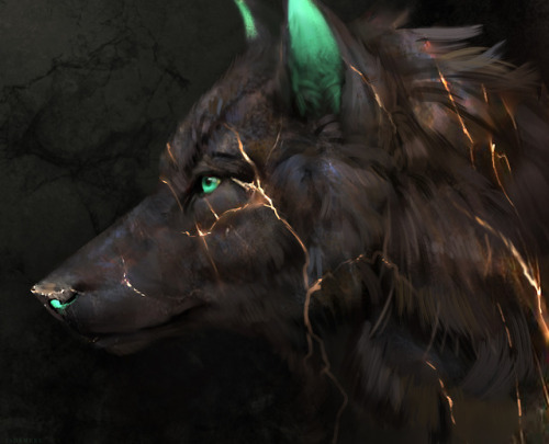 fuzzywuzzylittletail: jademere:  Wolf portrait compilation! Everything is facing left and it’s reall