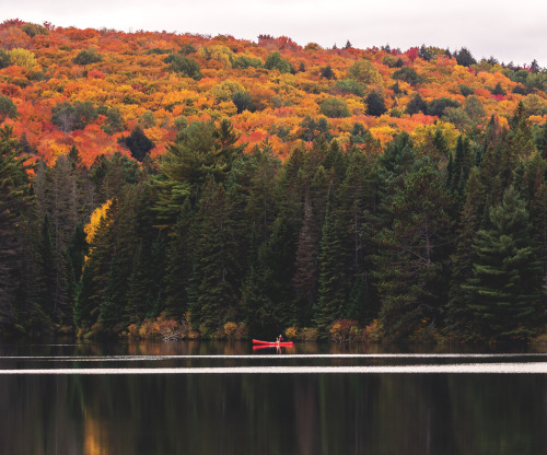 Canoe on Pog Lake - Algonquin Park - Ontario, Canada