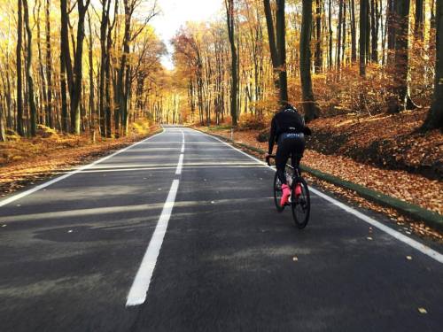 playlike: dopplerhütte. fall perspectives. #bbuc #outsideisfree #golden #mothernature #fallperspecti