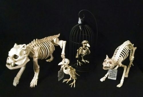 Skeleton pets
