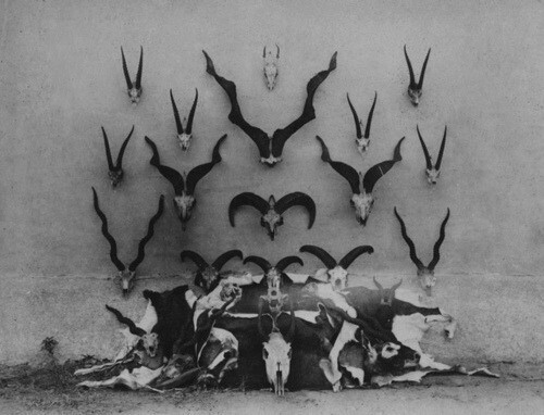 The Church of Splatter-Day Saints