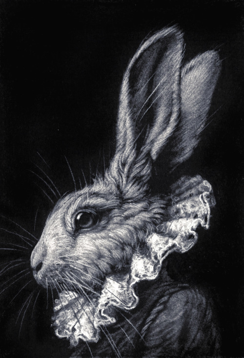 White Rabbit - Part Of My Alice In Wonderland Series Of Small Drawings