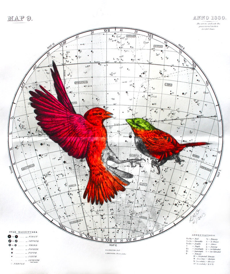 sosuperawesome:  Louise McNaught, on Tumblr  Shop