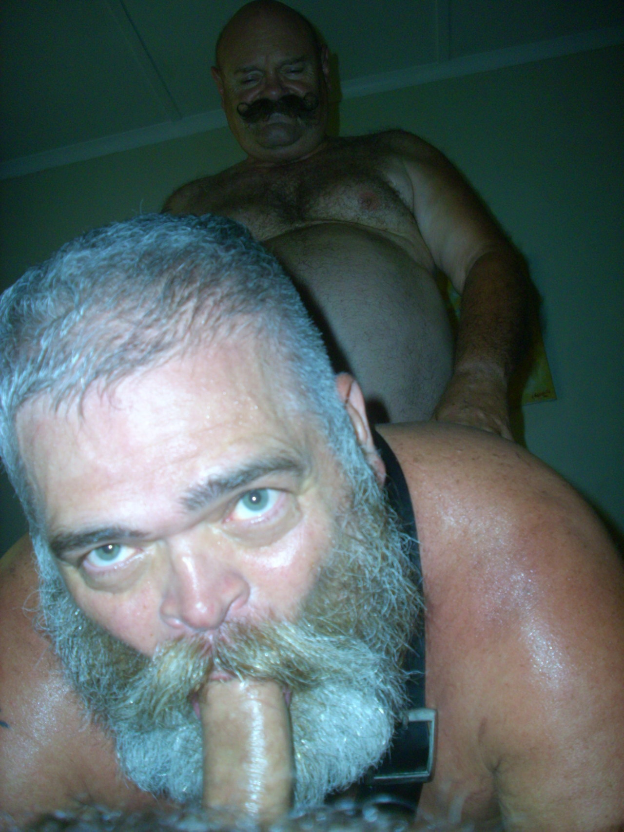 BAD DADDIES