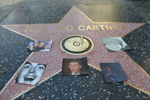 too-stoned-to-remember:  tehbeatles:decorated each beatle’s walk of fame star with some of my favorite photos from them today  …o,OMG is that my “i look gorgeous in hi def” gif omg