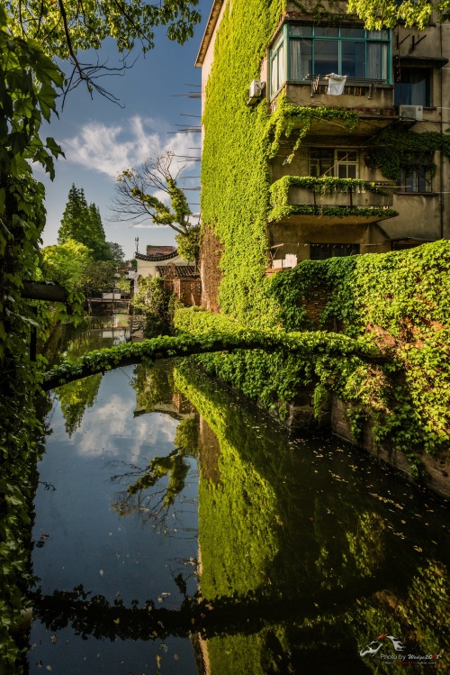 fuckyeahchinesegarden: Water Town, China. 杰Photo