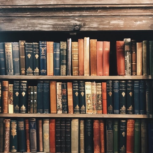 ablogwithaview: Hibernating a bit after thesis + London, but still dreaming of @secondshelfbooks and
