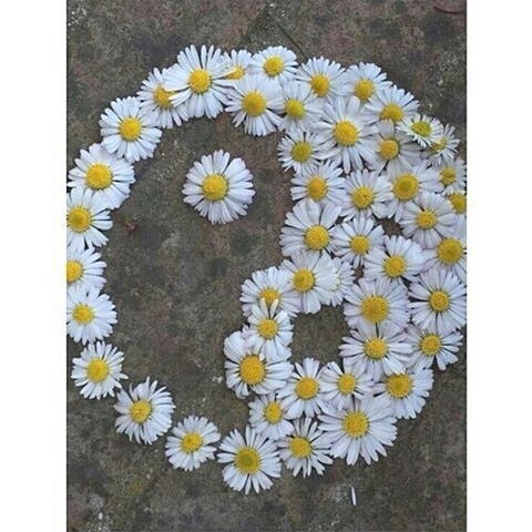 Shout Out To Ms. Maguire's E Block World Religions Class. #confusionism #yingandyang #flowers #art