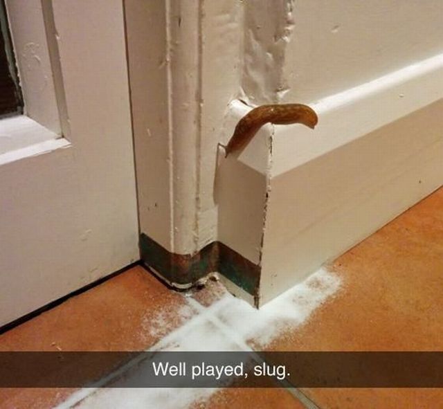 Stuff