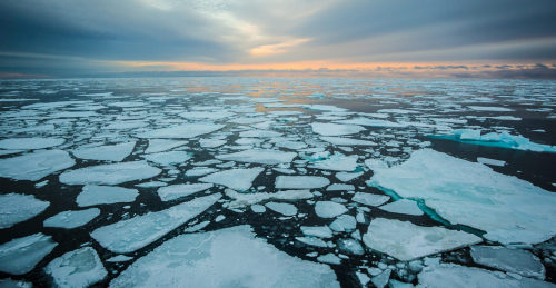 Seaice in the Arctic Circle.Aswater and air temperatures rise each year near the Poles, some of thes