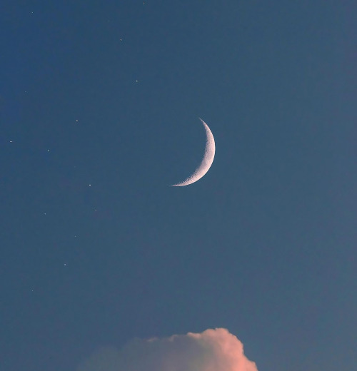 without-ado:Crescent Moon l composite l Rami Ammoun