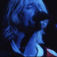 fell-on-bright-nights