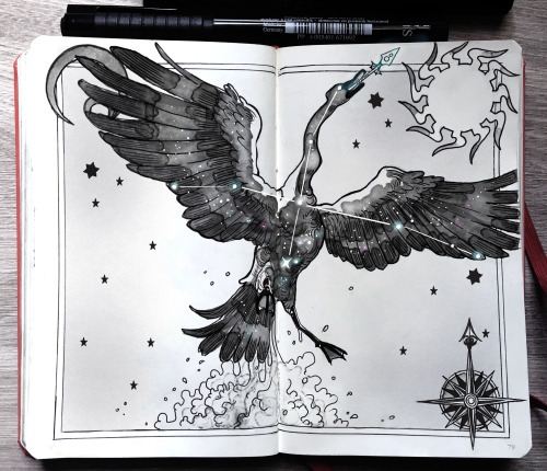 gabriel-picolo: gabriel-picolo: ⭐️  Vulpecula, the fox constellation ⭐️  Corvus, the raven const