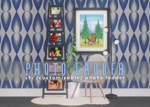 diwasims:PHOTO LADDER perfect for family players with an easily customizable psd file included for y