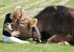 steezy-evelyn:  buecherdieb:   ”This is my favorite photo in the world - me and Linus, born to a dairy cow and ordered to be killed when the farmer saw he was a male (and thus useless in the dairy industry). A compassionate individual intervened, and