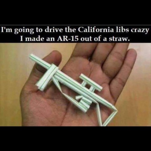 Seriously&hellip;why do people even live in the california? #baneverything #liberalismisamentald