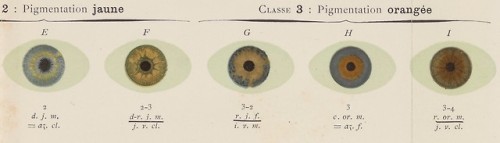 Tableau des Nuances de l'Iris Humain by Alphonse Bertillon (1893).Alphonse Bertillon was a French po