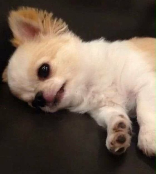 I Wish What Didnt Kill Me Does Kill Me Cause I Cant Deal With The Fallout