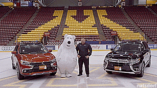 thenatsdorf: Bear mascot keeps falling in car commercial outtakes. [full video]