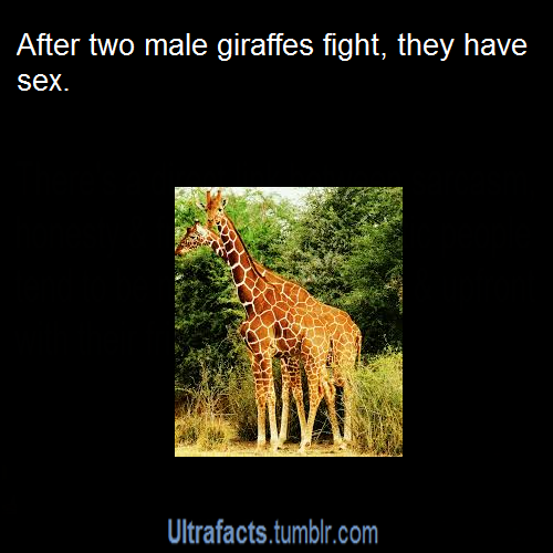 ultrafacts:  Want more facts? Follow Ultrafacts 