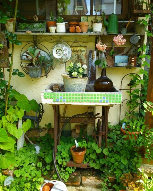 ubancottage:www.instagram.com/p/Bji2kh3nGQp/