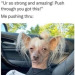 memewhore: