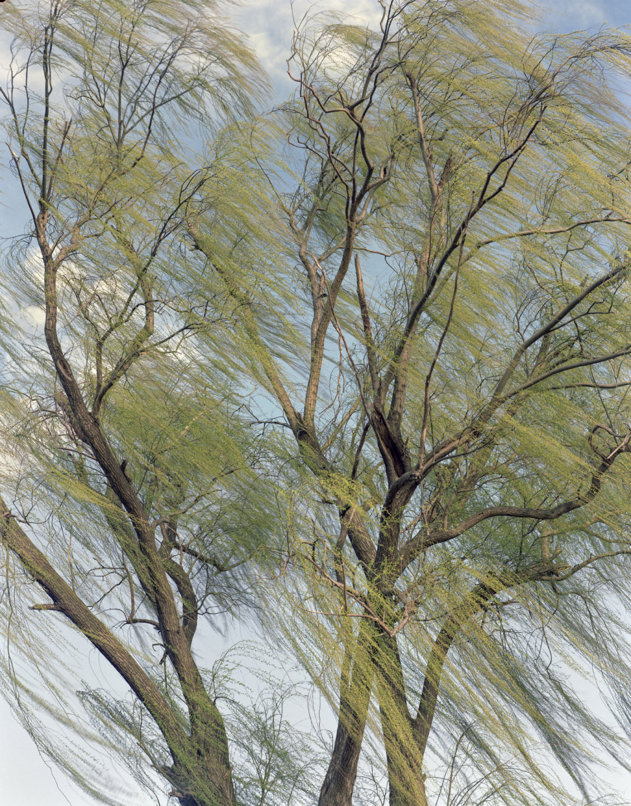 thisispaper: Koji Aono lives a contemplative life through photography