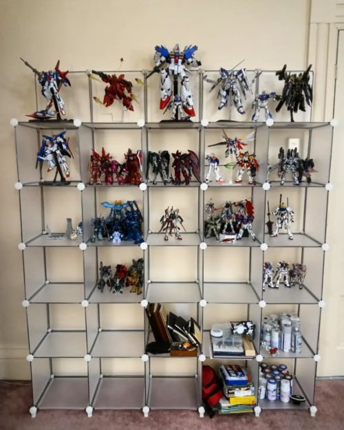 New shelves are set up! Does not include all the models tho and not in the groupings or poses I want