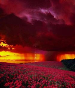 janetmillslove:  Sunset Lightning, Co moment love