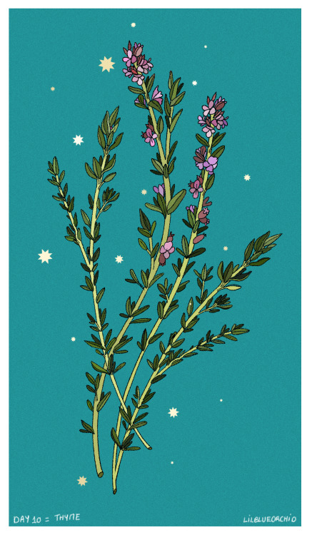 lilblueorchid:More starry flowers and some mushroom!Day 7 to 12 here!