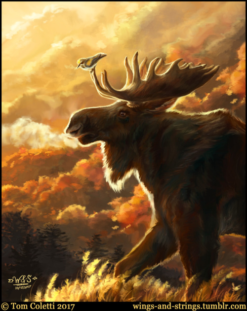 “Appalachian Autumn” - CommissionJust completed this 10-hour painting of a bull moose and yellow-win