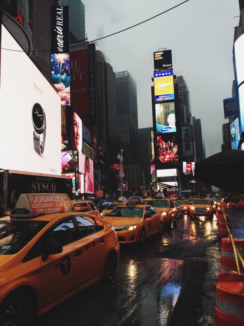 moeysphotography:  Yellow. (by Moey Hoque)(Instagram)(Flickr) 