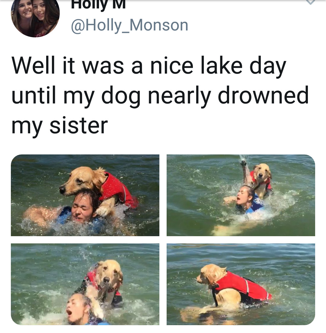 He's still a good doggo