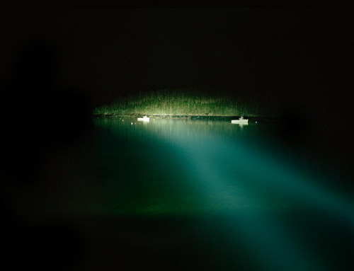 untrustyou:  Sophie Barbasch