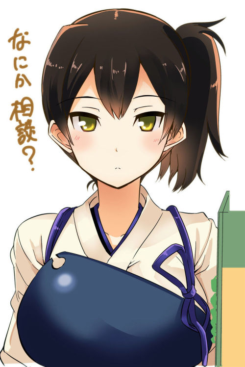 ibi-s:  艦これの加賀さんの画像ちょうだい : 情弱VIP2ちゃんねる