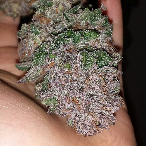 weedporndaily:  Add Some 💥 in the ✨ and 💣 🙏 👌 by doworkson1992 http://ift.tt/1hIwlR4