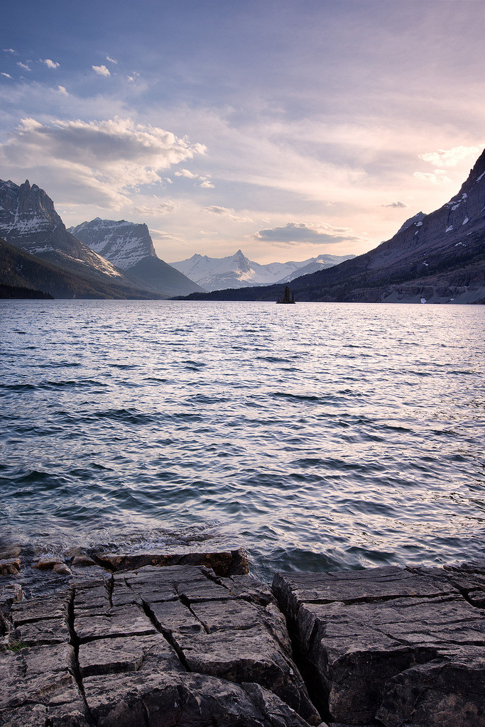 4nimalparty:  (by mikev1) 