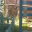 chin-chulin-blog