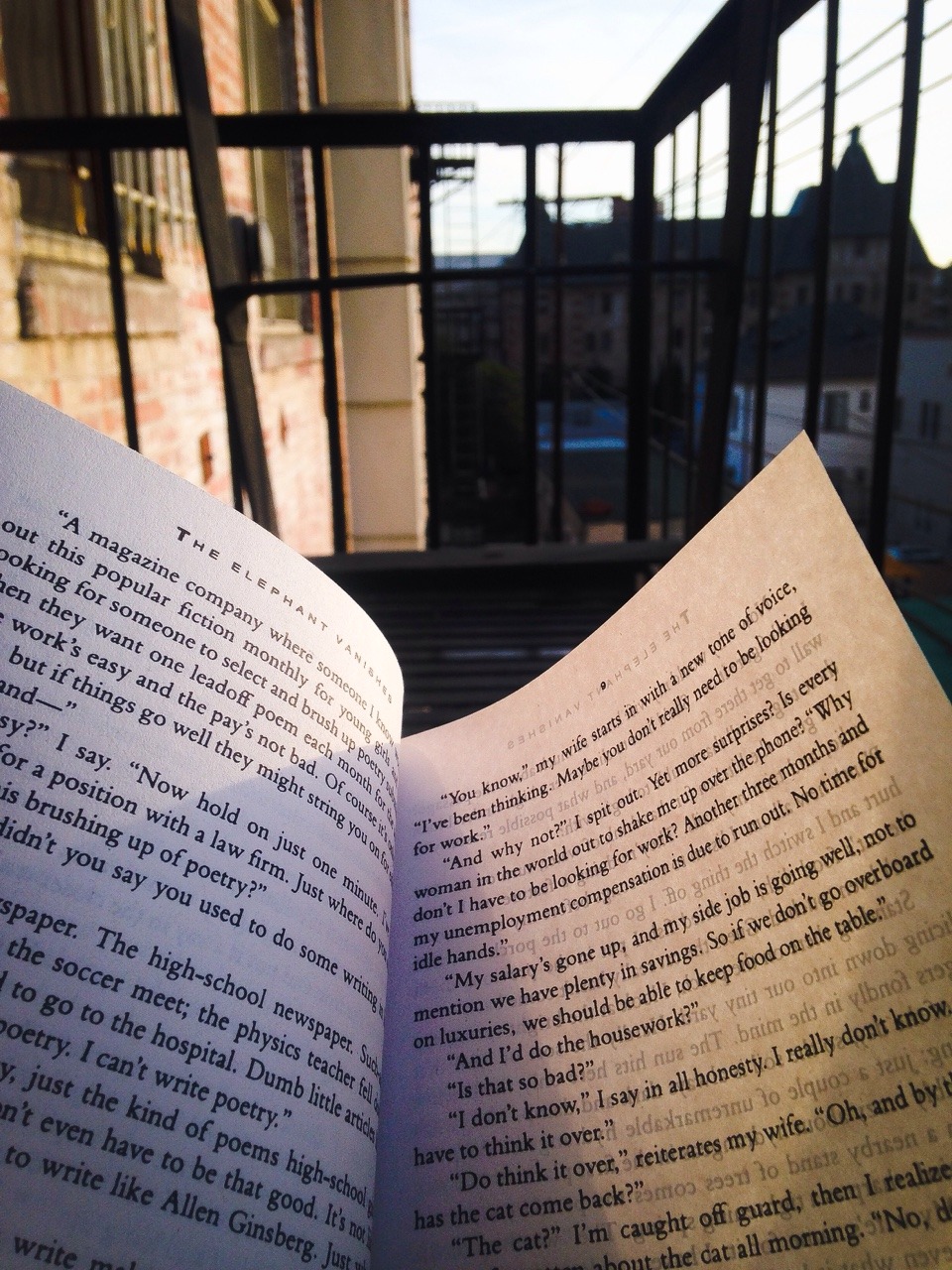 maza-dohta:  The view from a book. 