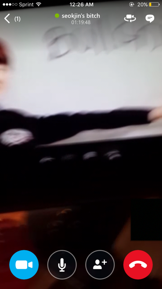 What Happens When You Try To Skype With @jin-oppa