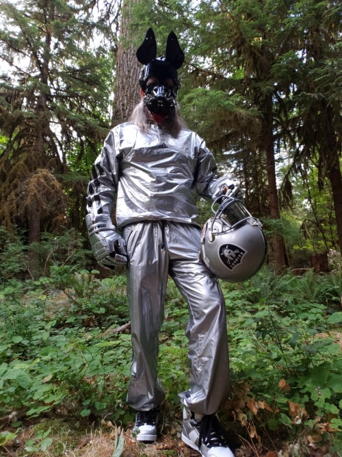 Just another shiny dog and his helmet on the hiking trail - “nothing to see here folks, move along”.