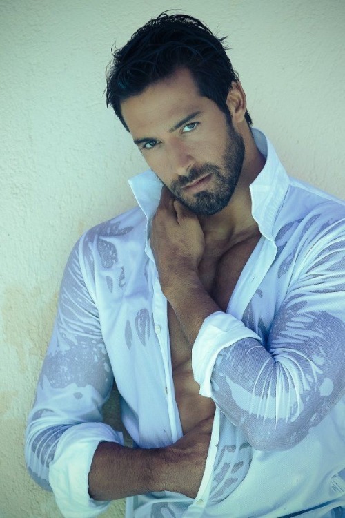hairy nice men