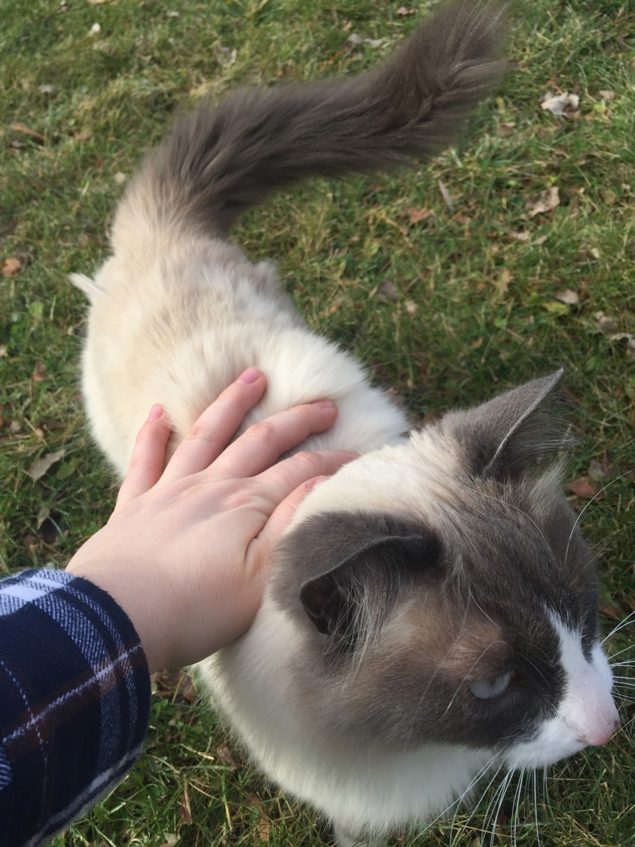 jordysnelson:  so majestic, so friendly 
