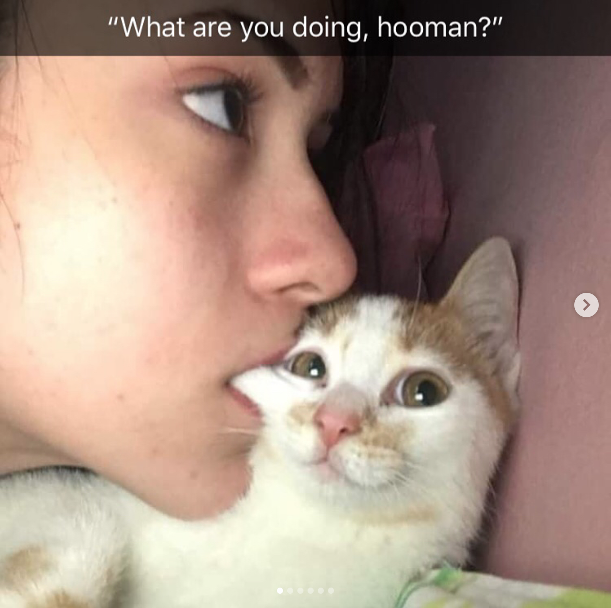 babyanimalgifs: Animal snaps