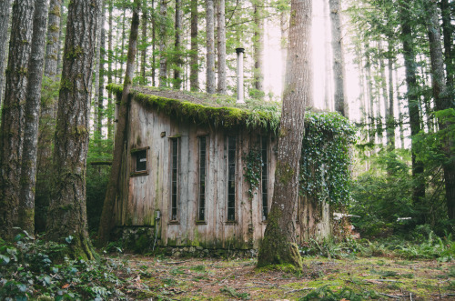 Seabeck Cabin Prints