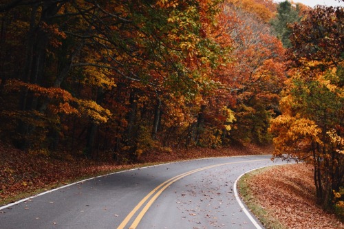 his-desert-rose:  // roads of autumn glory porn pictures