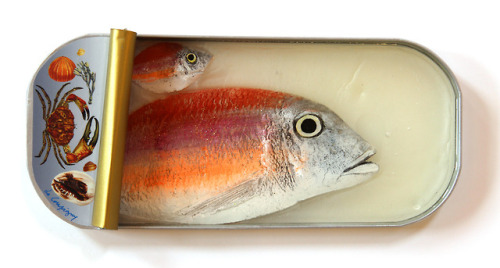 Ortaire de Coupigny - Sardine Artwork #12. Painted fish suspended in resin in metal sardine tin.