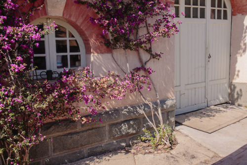 573p5:   Saint-Tropez, France - Summer 2017