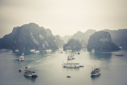 warborne:  Halong Bay - A Wonder of the World (by view.on.black) 