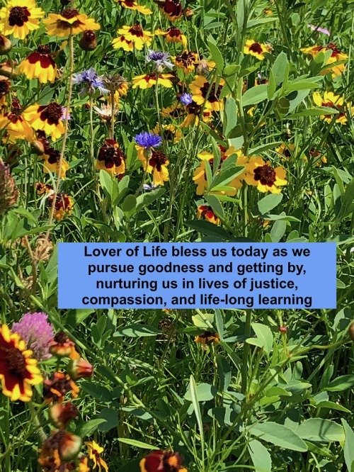 Lover of Life bless us today as we pursue goodness and getting by, nurturing us in lives of justice,